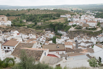 Obraz premium troglodyte