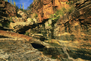 Snow melt trickling into a gorge, Babad Do'ag, Mt. Lemmon, Coronado National Forest. 