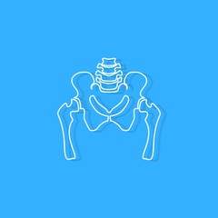 pelvic bone on blue background