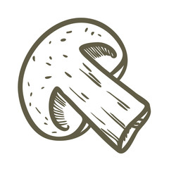 Hand drawn illustration sketch style champignon mushroom composition icon. Vector icons for web design. Farm fresh food isolated on white background. Doodle style mushroom