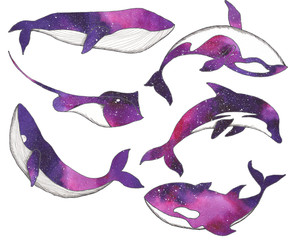 Ocean watercolor elements with silhouettes of sea animals: whales, dolphins, killer whales, stingrays and narwhals and fantastic space backgrounds © Анна Егорова