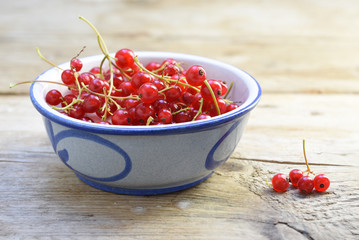 organic red currant berries in a blue ceramic bowl on a rustic wooden table with copy space
