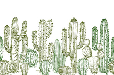 Cactus seamless pattern. Sketch desert cactuses plants endless border for western landscape vector illustration. Seamless pattern cactus sketch, floral botanical