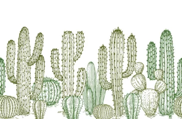 Foto op Canvas Cactus seamless pattern. Sketch desert cactuses plants endless border for western landscape vector illustration. Seamless pattern cactus sketch, floral botanical © MicroOne