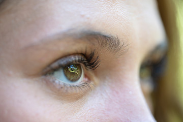 Closeup eye caucasian woman. Portrait young girl face background, close up eyes