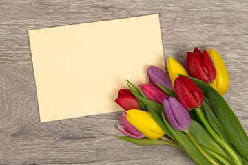 Tulpen und Karte