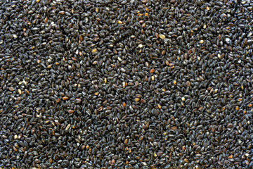 Granola bar. Healthy sweet dessert snack. Black sesame seeds with honey in background, close up