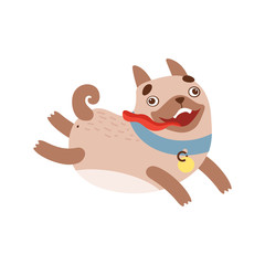 Naklejka premium Cute Pug Dog Running with Tongue Out, Funny Friendly Animal Pet Character Vector Illustration