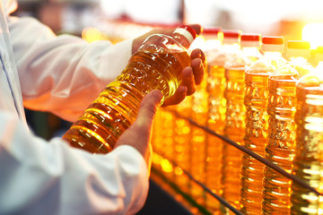 Sunflower oil. Line for the production and bottling of refined oil from sunflower seeds. Conveyor of food industry