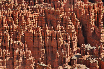 Bryce canyon, USA, Utah