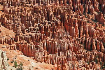 Bryce canyon, USA, Utah