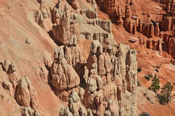 Bryce canyon, USA, Utah