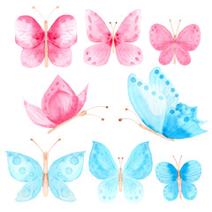  watercolor set of pink blue butterflies