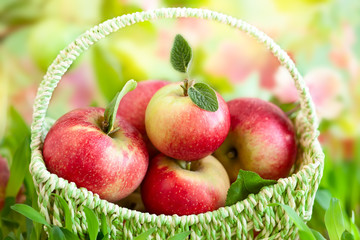 Fresh apples in basket