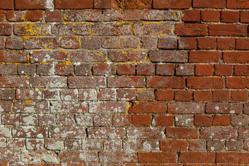 Close up of a brick wall that is weathered and has yellow and white lichen