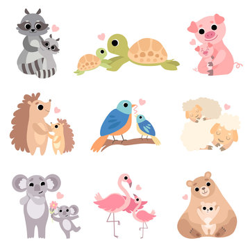 Cute Animal Families Set, Raccoon, Turtle, Pig, Hedgehog, Bird, Sheep, Koala, Flamingo, Bear Vector Illustration