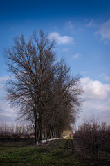 February in the Kuban