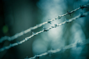 Lines of barbed wire to demarcate the border