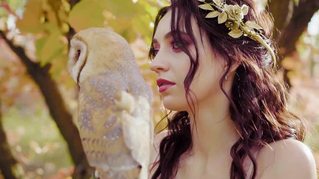 fantasy portrait owl girl princess. lady symbol nature, Greek goddess spirit spring forest holds  gorgeous little cute bird on hand,  fairy elf nymph. beauty face golden wreath crown dark curly hair
