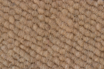 texture coconut shell's hair