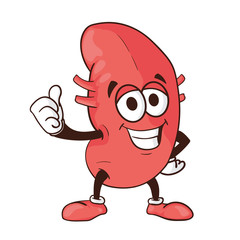 Vector kidney cartoon human body health organ smiling mascot character illustration isolated on white background Perfect to use for medical awareness poster or company logo symbol template design