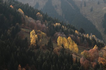 Naklejka na ściany i meble Autumn forest and village photos/savsat/artvin turkey 