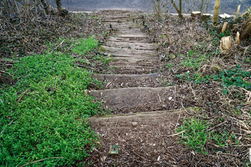Wooden steps from log and moss, wooden stairs