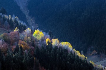 Fototapeta na wymiar Autumn forest and village photos/savsat/artvin turkey 