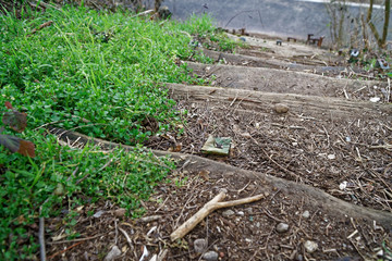 Wooden steps from log and moss, wooden stairs