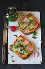 Sandwich mit Chilli-Humus, Gurke, Radieschen und Kresse