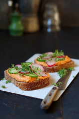 Sandwich mit Chilli-Humus, Gurke, Radieschen und Kresse