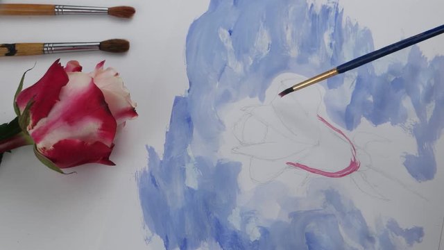 Drawing contours of flower by pink gouache on the white sheet of paper on the background of paintbrushes and pink rose