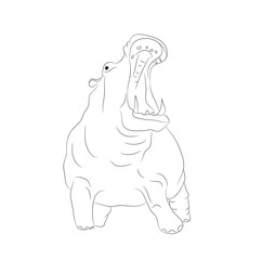 hippo is worth drawing lines, vector