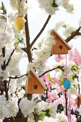Spring. Decorative birdhouse on a tree in the park.