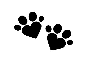 A pair of traces from the paws (imprint) of a wild animal.