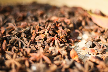 Badiane, fleurs d'anis étoilée 