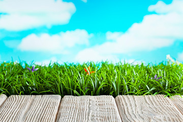 Wooden table with empty space on nature background