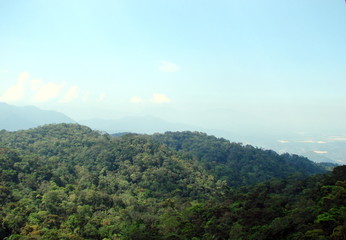 Landscape of a dense green forest on top of a mountain range against a clear blue sky under the sunrise.