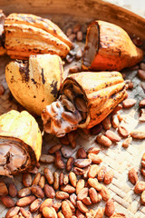 Cabosses de cacao et fèves de cacao en gros plan