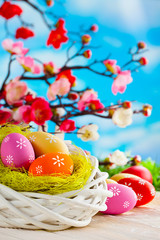 Colorful Easter eggs, white nest and branches with spring flowers on wooden table and blue sky background