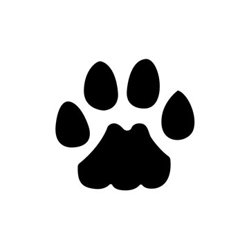 Animals footprints Paw icon. Vector