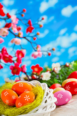Colorful Easter eggs in green and white nest on wooden table and nature background