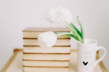 Bouquet of beautiful white tulips. Fresh spring flowers and books on white background. 