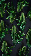 green leaf pattern background. Flat lay, nature layout