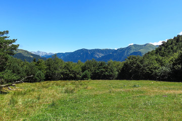Obraz premium Aran valley in the Catalan Pyrenees, Spain
