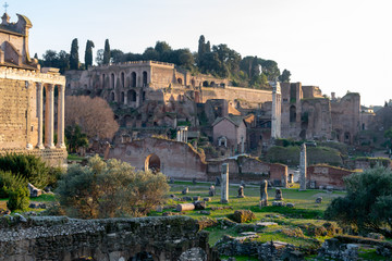Fototapeta na wymiar Rome/Italy 21 february 2019 :the remains of roman forum,historic architecture