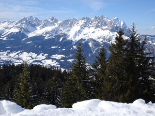mountains and a winter landscape with trees