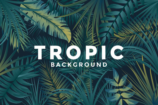 Tropical background with jungle plants. Trendy background with tropic leaves, can be used as Exotic wallpaper, Greeting card, poster, placard. Vector Illustration