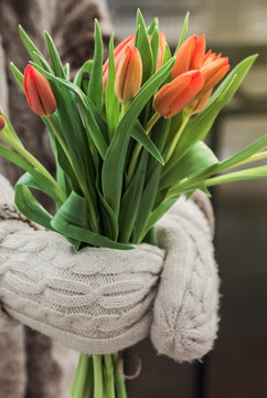 tulips in hand, white gloves , beggining of spring, orange flowers