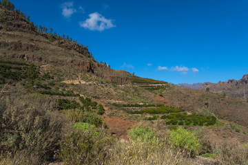 Fototapeta na wymiar Canary islands gran canaria sunny day outdoor